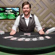 bingotingo Live Casino